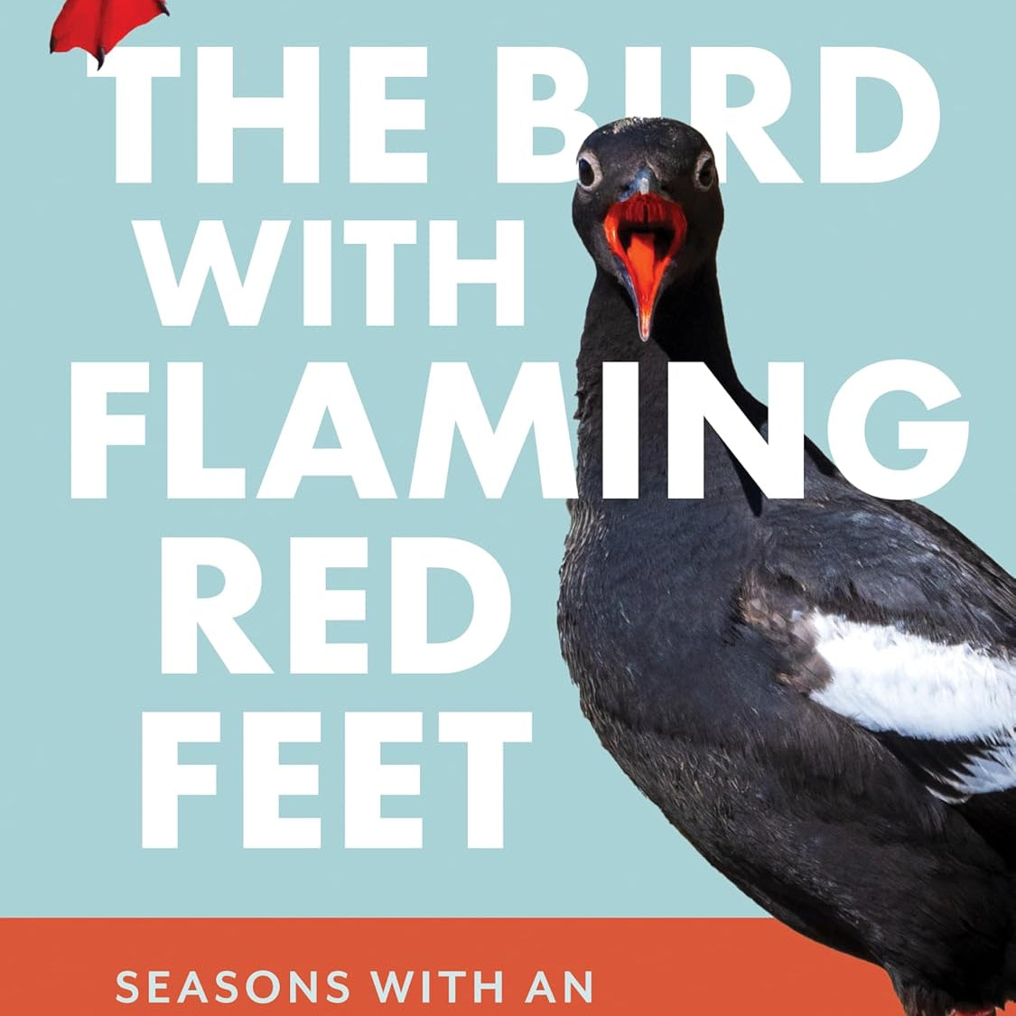 The Bird w/ Flaming Red Feet: Seasons w/ an Uncommonly Common Seabrid by Ruth. M 20 9781680517255