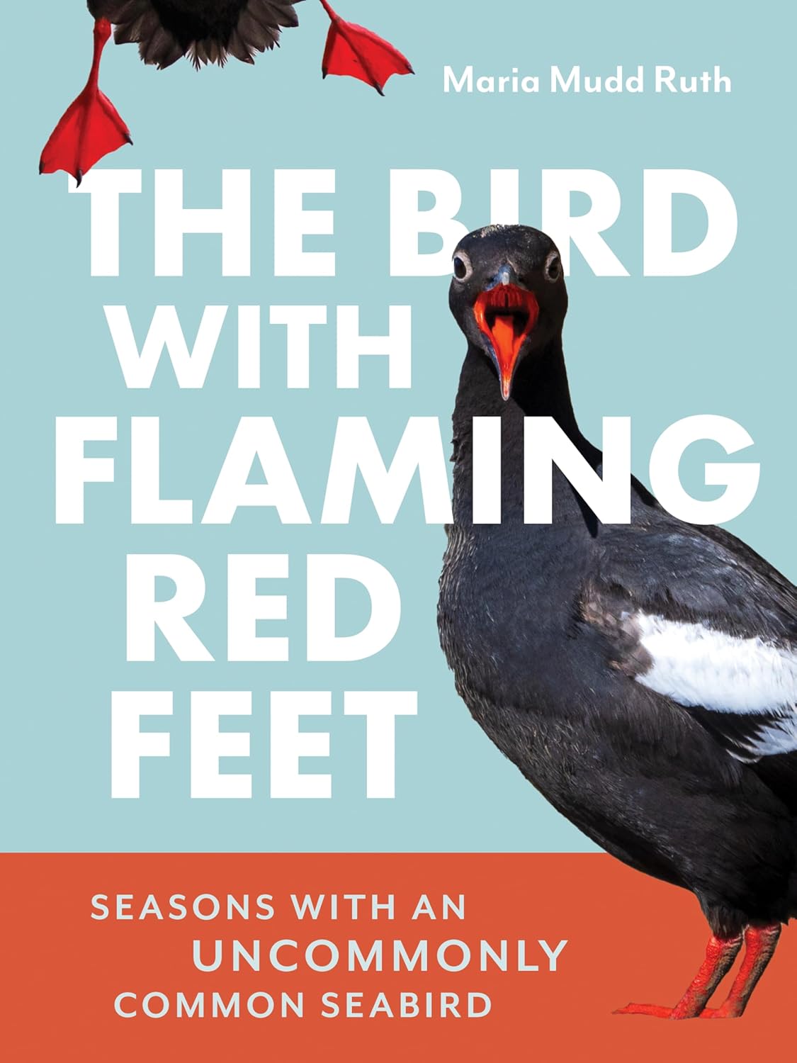 The Bird w/ Flaming Red Feet: Seasons w/ an Uncommonly Common Seabrid by Ruth. M 20 9781680517255