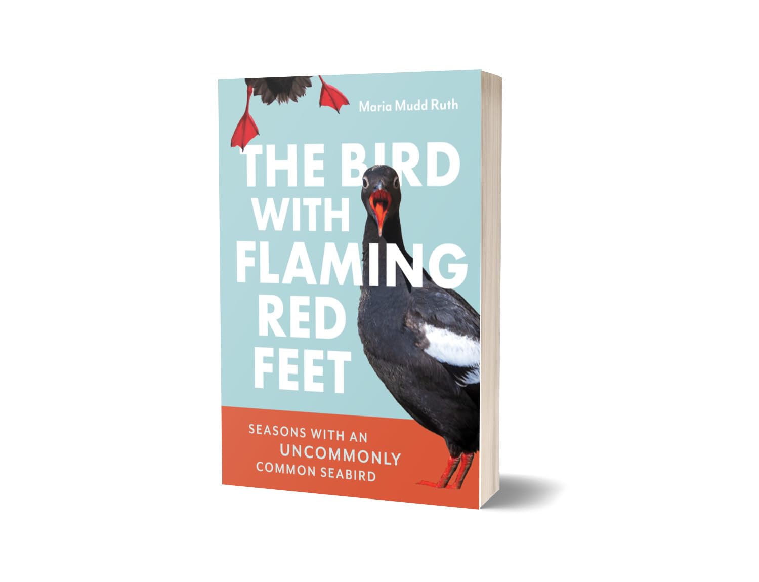 The Bird w/ Flaming Red Feet: Seasons w/ an Uncommonly Common Seabrid by Ruth. M 20 9781680517255_1