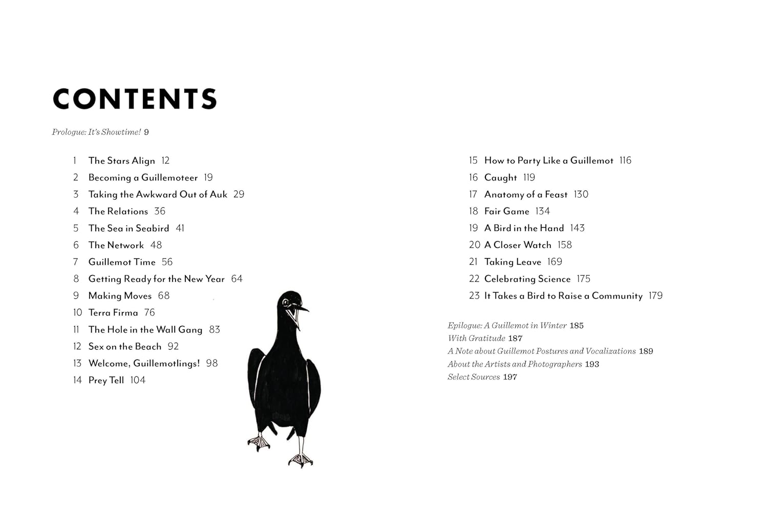 The Bird w/ Flaming Red Feet: Seasons w/ an Uncommonly Common Seabrid by Ruth. M 20 9781680517255_2
