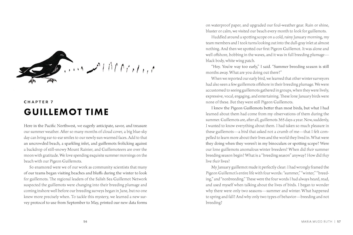 The Bird w/ Flaming Red Feet: Seasons w/ an Uncommonly Common Seabrid by Ruth. M 20 9781680517255_4