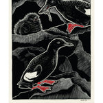 The Bird w/ Flaming Red Feet: Seasons w/ an Uncommonly Common Seabrid by Ruth. M 20 9781680517255_6