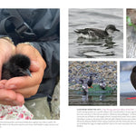 The Bird w/ Flaming Red Feet: Seasons w/ an Uncommonly Common Seabrid by Ruth. M 20 9781680517255_8