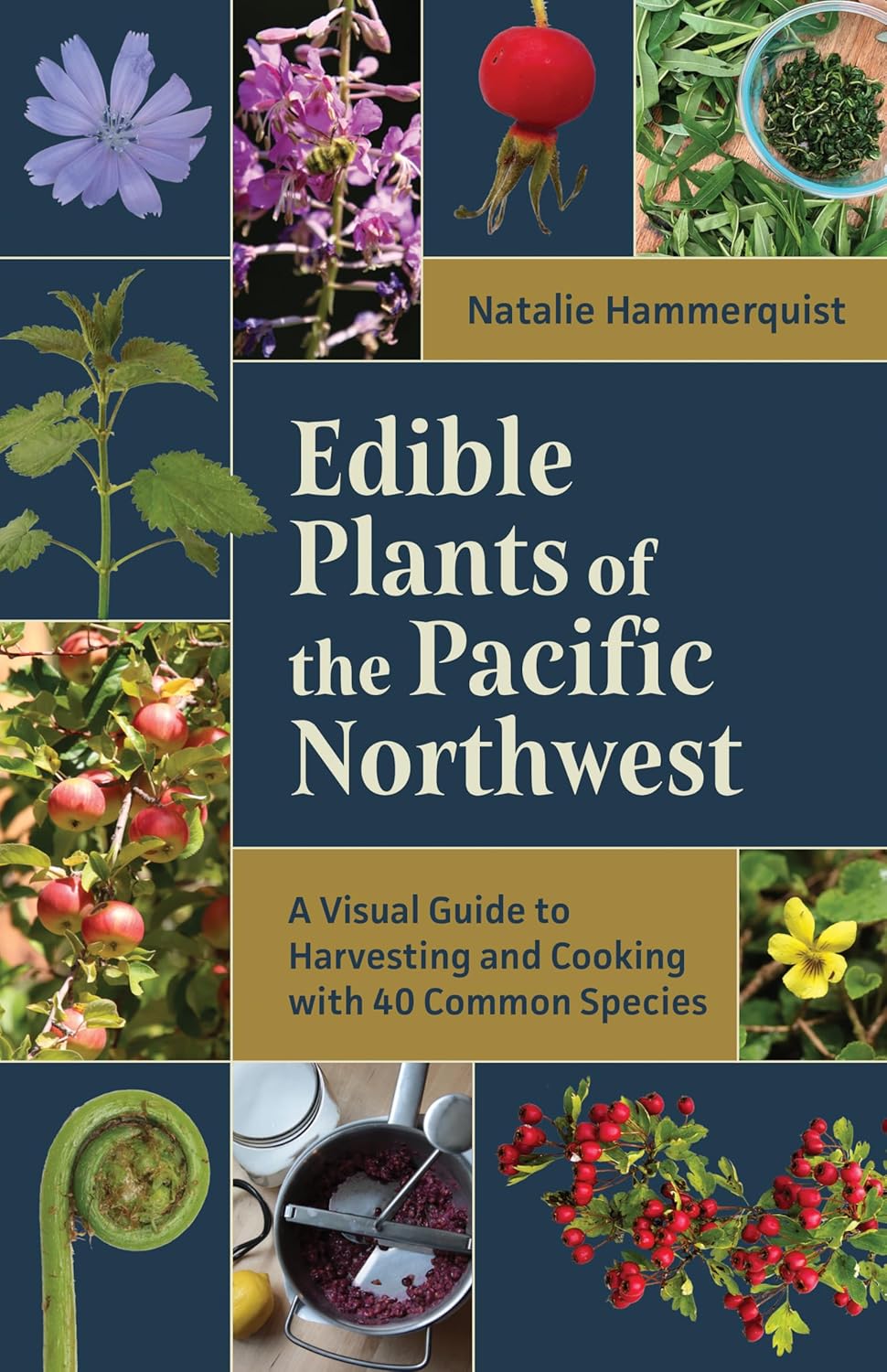 Edible Plants Of The Pacific Northwest: A Visual Guide To by Hammerquist. Natali 9781680517323