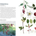 Edible Plants Of The Pacific Northwest: A Visual Guide To by Hammerquist. Natali 9781680517323_2