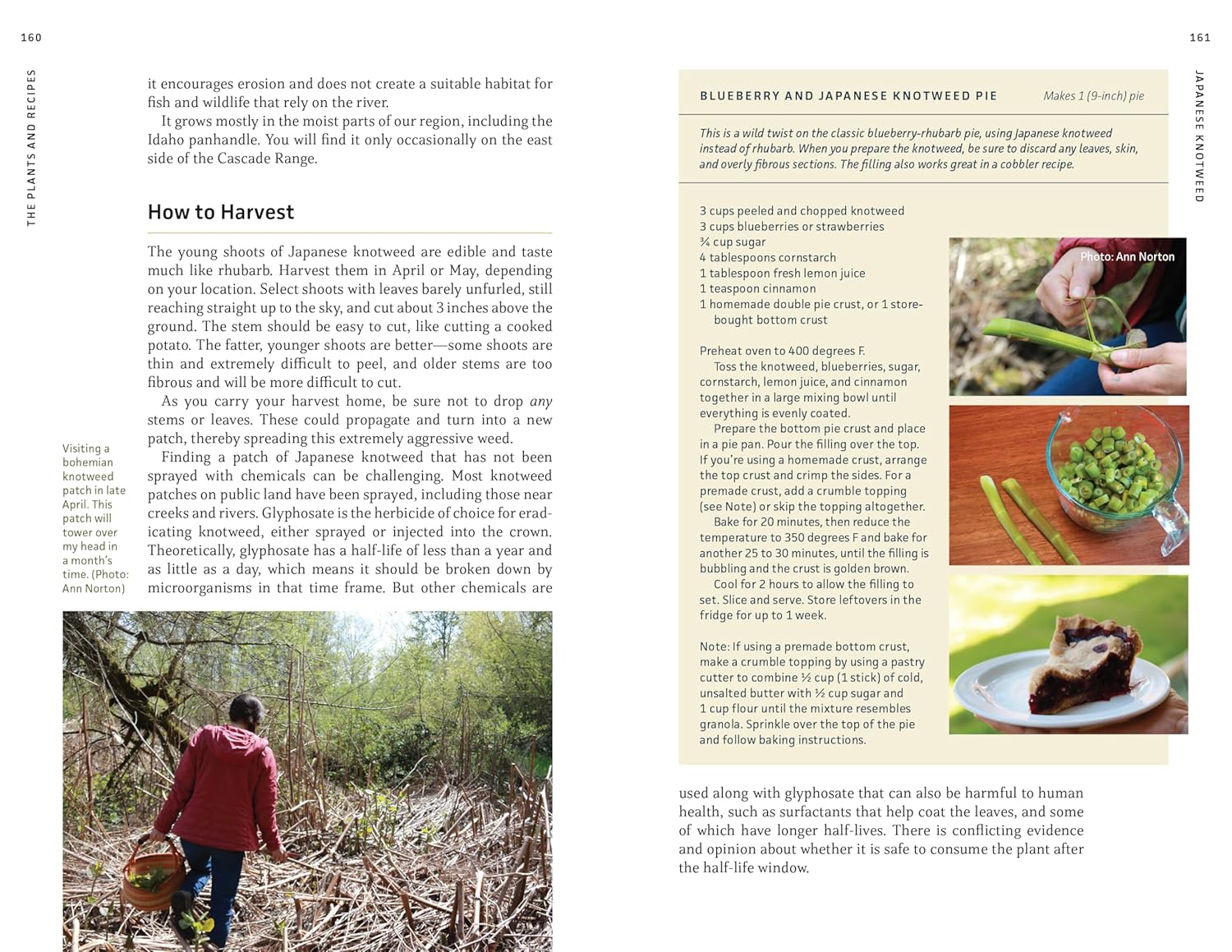 Edible Plants Of The Pacific Northwest: A Visual Guide To by Hammerquist. Natali 9781680517323_5