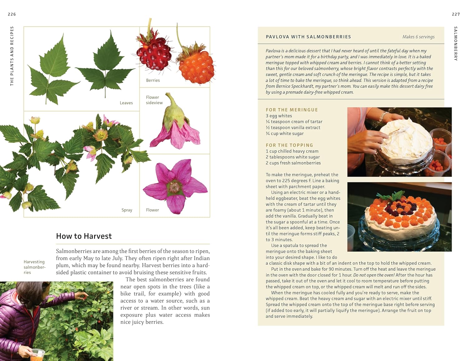 Edible Plants Of The Pacific Northwest: A Visual Guide To by Hammerquist. Natali 9781680517323_6