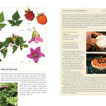 Edible Plants Of The Pacific Northwest: A Visual Guide To by Hammerquist. Natali 9781680517323_6