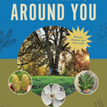 The Trees Around You: How To Identify Common Neighborhood Trees by Clapp. Casey 9781680517446