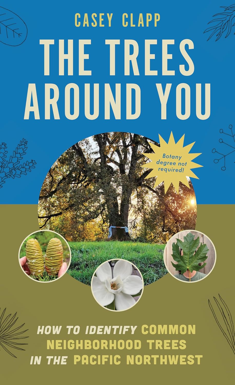 The Trees Around You: How To Identify Common Neighborhood Trees by Clapp. Casey 9781680517446