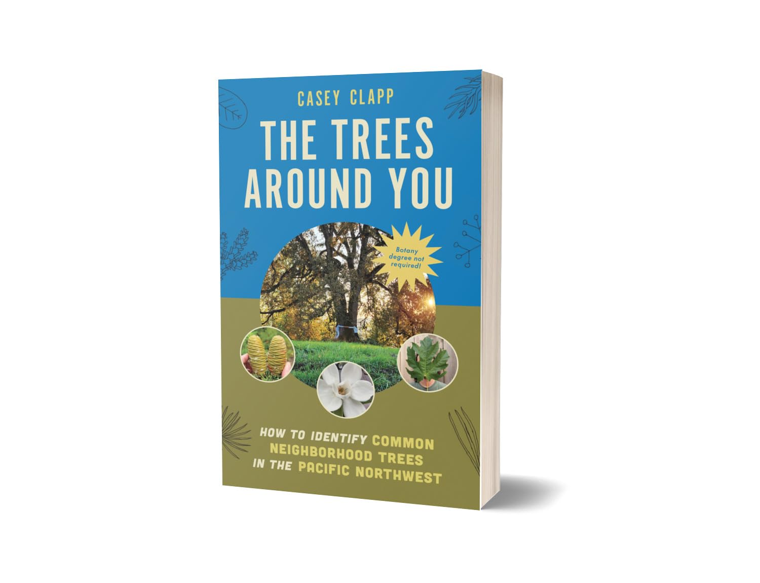 The Trees Around You: How To Identify Common Neighborhood Trees by Clapp. Casey 9781680517446_1