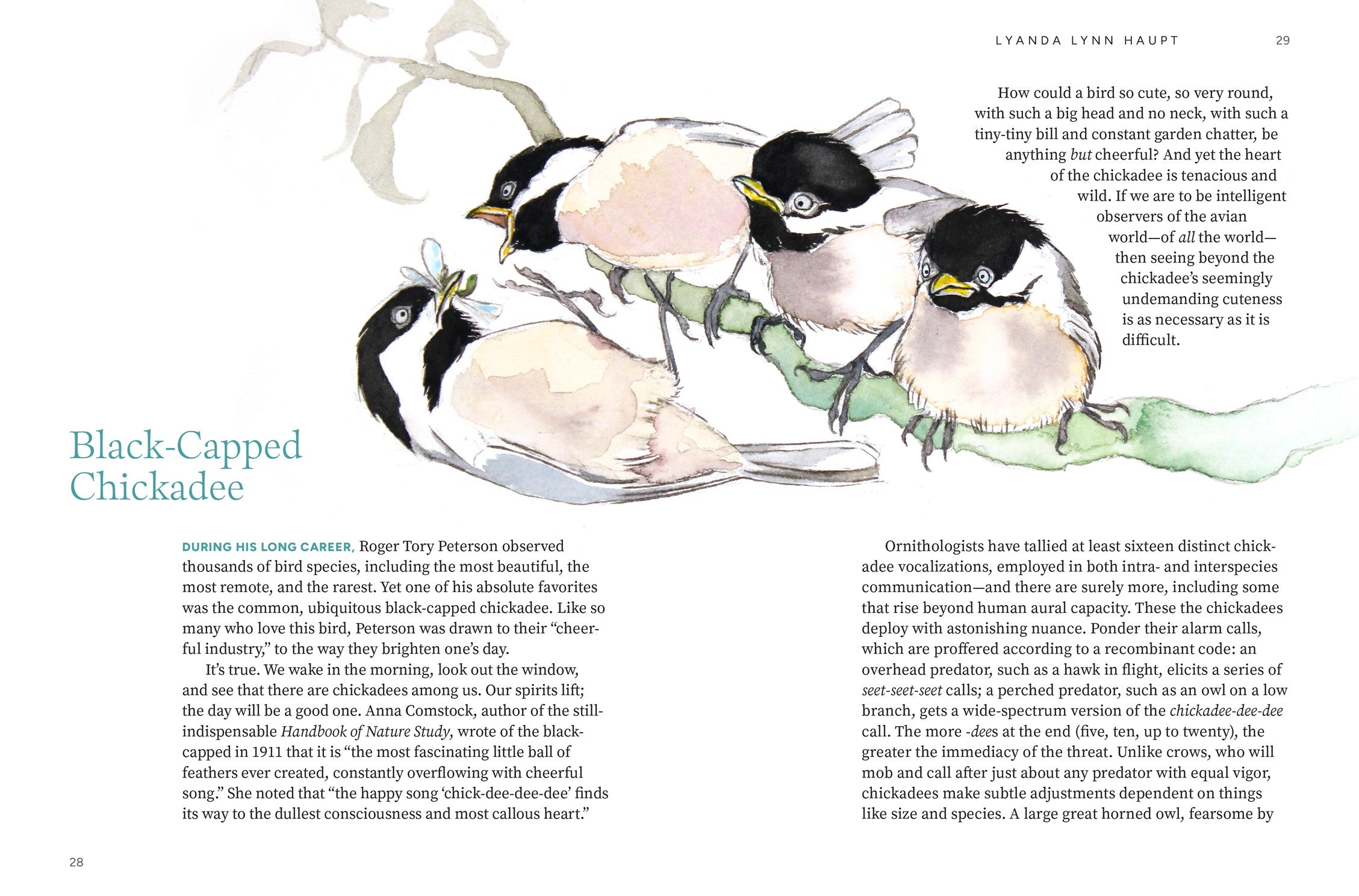 Available 09/01/26 Among the Birds: Field Notes from Cascadia by Haupt. Lyanda Lynn, Illustrated by 20 9781680517682_2