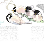 Available 09/01/26 Among the Birds: Field Notes from Cascadia by Haupt. Lyanda Lynn, Illustrated by 20 9781680517682_2