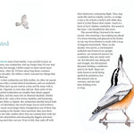 Available 09/01/26 Among the Birds: Field Notes from Cascadia by Haupt. Lyanda Lynn, Illustrated by 20 9781680517682_3