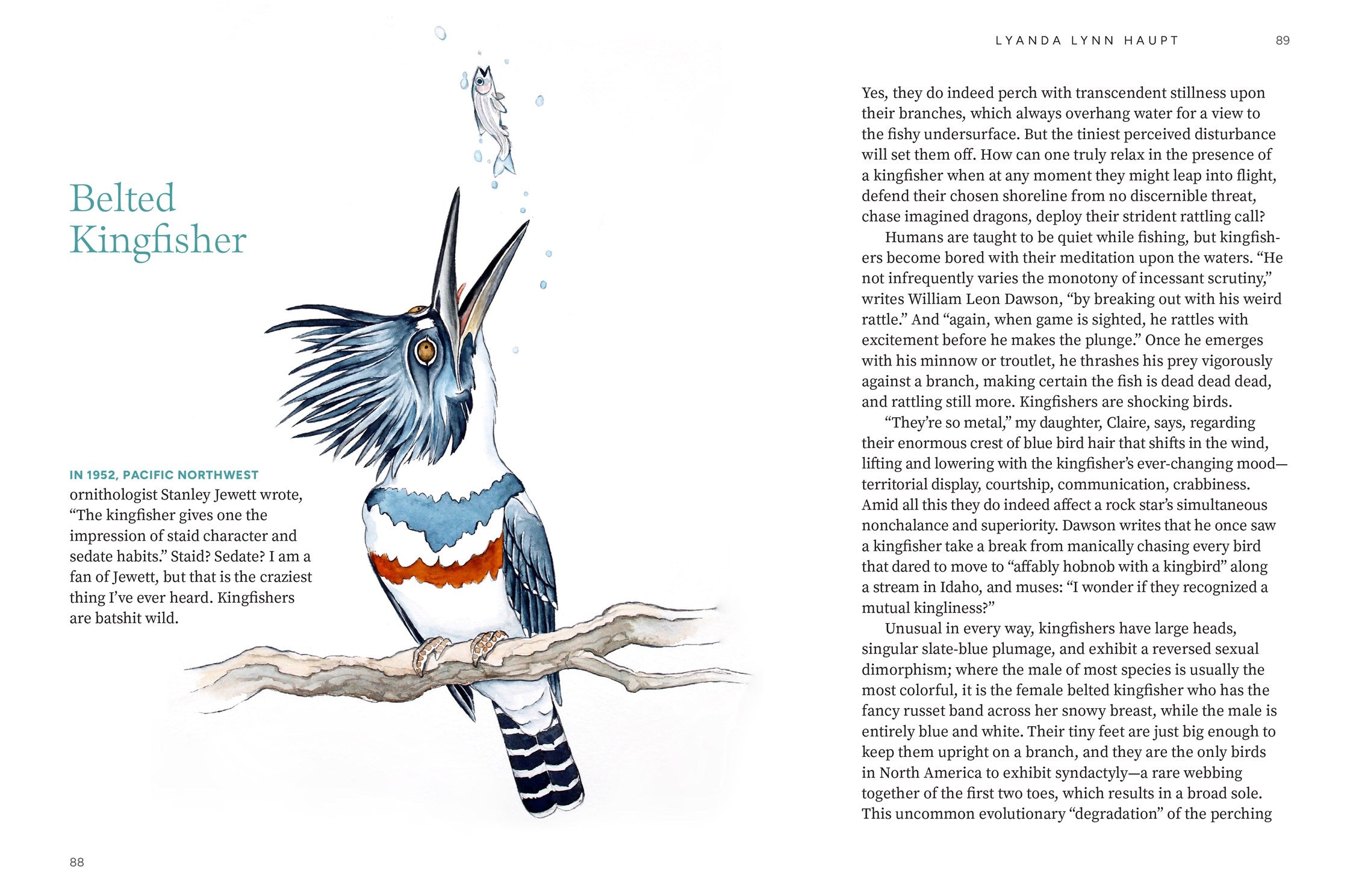 Available 09/01/26 Among the Birds: Field Notes from Cascadia by Haupt. Lyanda Lynn, Illustrated by 20 9781680517682_4