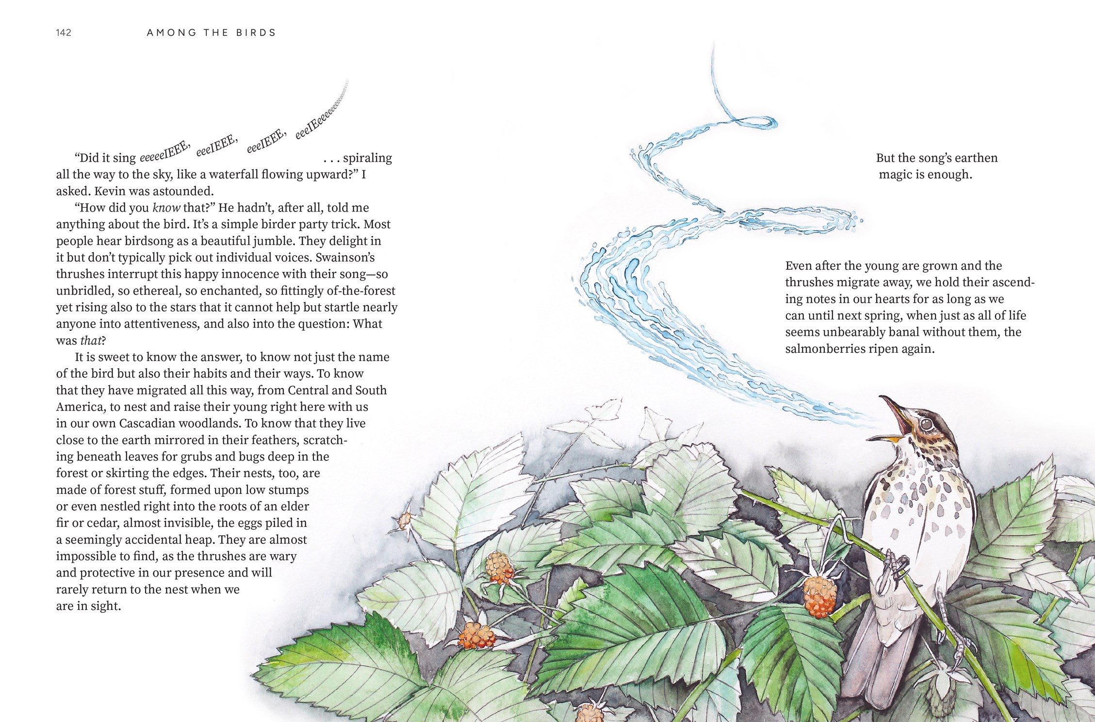 Available 09/01/26 Among the Birds: Field Notes from Cascadia by Haupt. Lyanda Lynn, Illustrated by 20 9781680517682_5