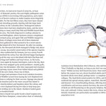 Available 09/01/26 Among the Birds: Field Notes from Cascadia by Haupt. Lyanda Lynn, Illustrated by 20 9781680517682_6