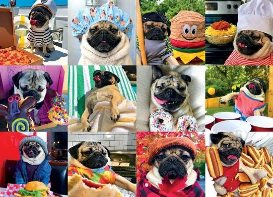 Doug The Pug Pug Life 1000 Piece Jigsaw Puzzle - Mosier. Leslie 9781682348185_f9d2dc18-0c15-426e-a481-1bd873fcf75b