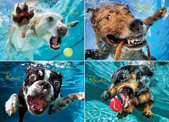 Underwater Dogs: Pool Pawty 1000 Piece Jigsaw Puzzle - Casteel. Seth 9781682348192