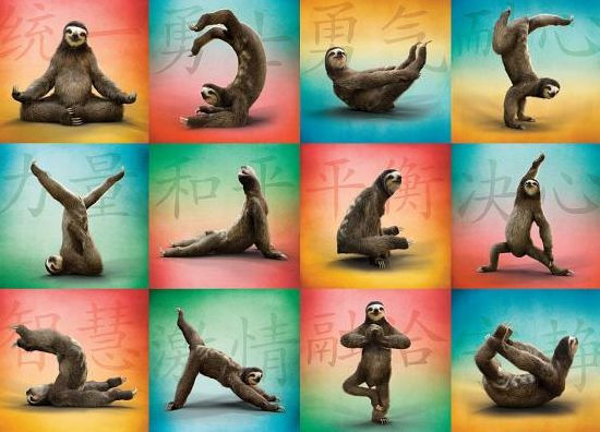 Sloth Yoga 1000-Piece Puzzle - Willow Creek Press 9781682348246_30d6fb3c-da59-49b0-8567-f6edc99215dc