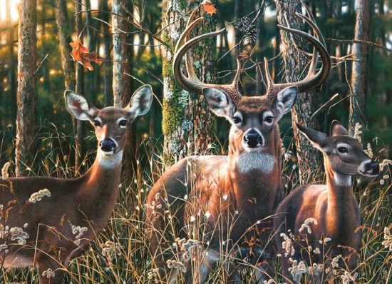 Woodlands Shadow 1000 Pc Puzzle - Kemp. Jay 9781682348666_87ec46c7-9f67-48ac-9492-0f4f0b829488