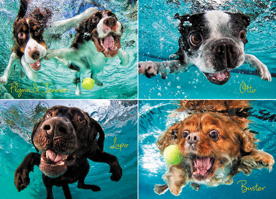 Underwater Dogs: Ruff Water 1000 Piece Jigsaw Puzzle - Casteel. Seth 9781682349205