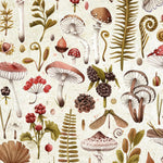 Mushrooms 1000 Piece Jigsaw Puzzle - Willow Creek Press 9781682349670