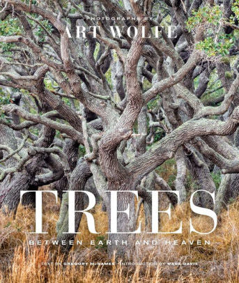 Trees: Between Earth And Heaven 9781683839262_cead0ff7-211d-40dd-877f-4c15b02ac4a1