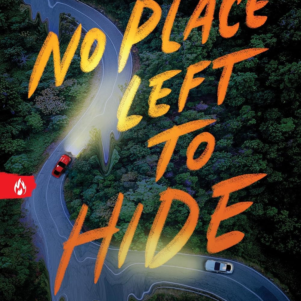 No Place Left To Hide by Lally. Megan 9781728270142