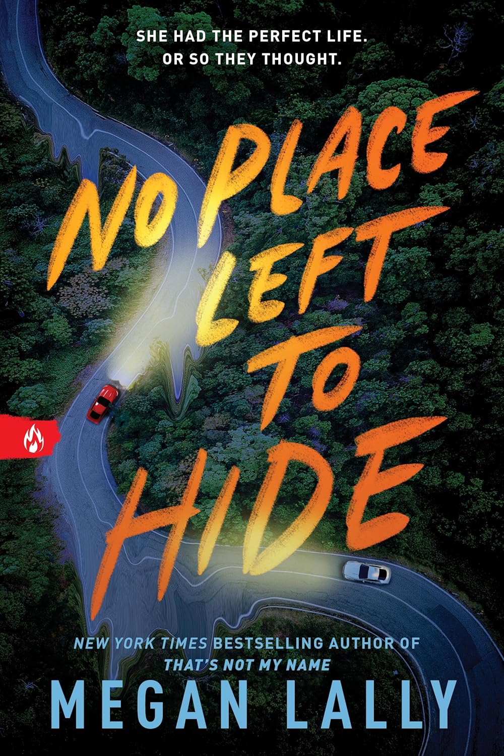 No Place Left To Hide by Lally. Megan 9781728270142