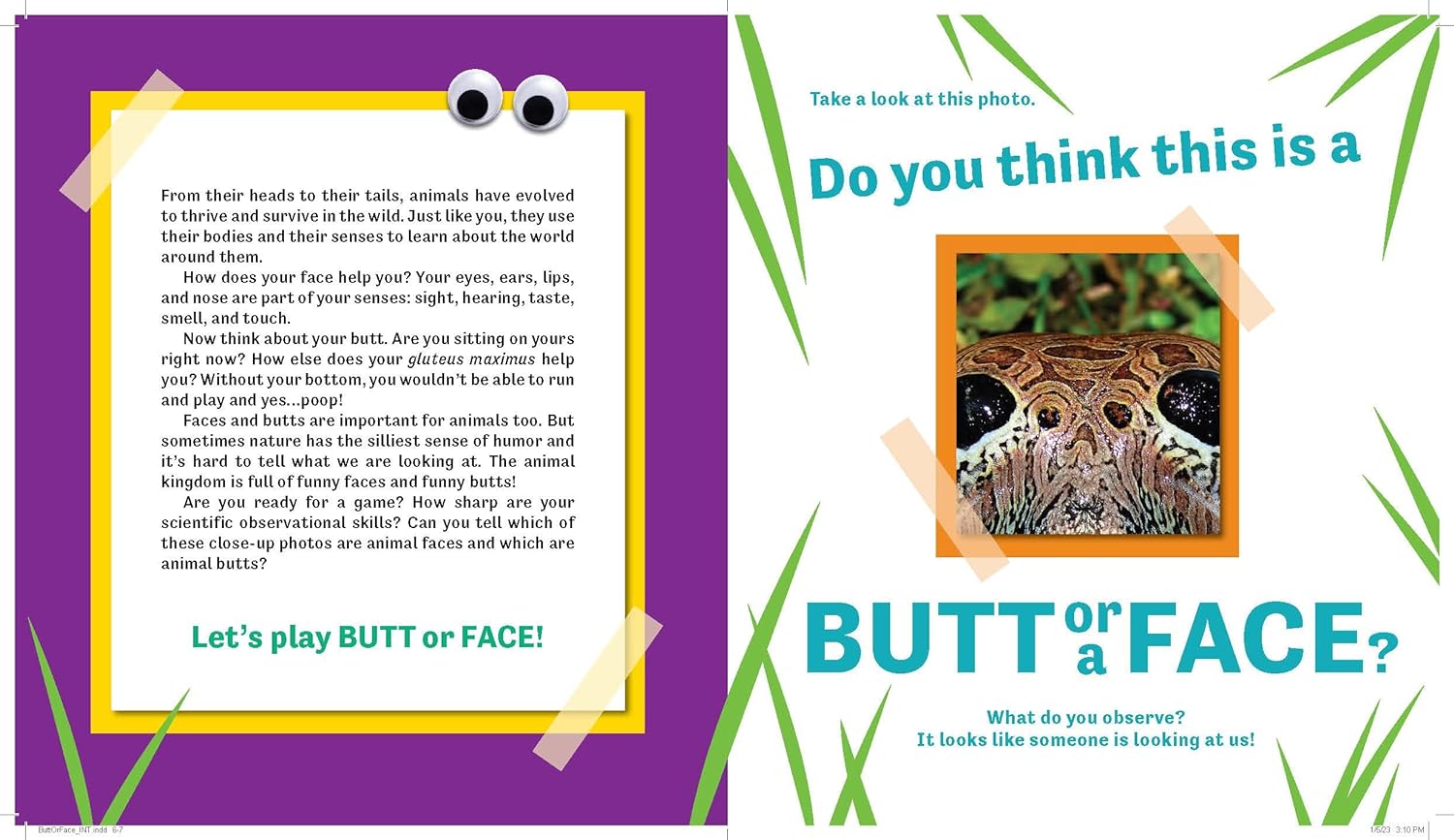 Butt Or Face? by Lavelle. Kari 9781728271170_1