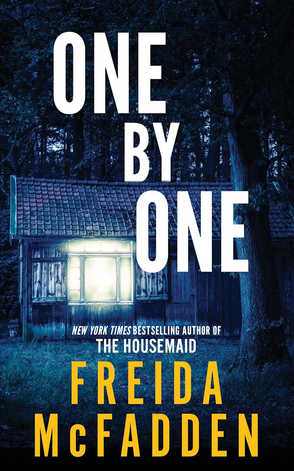 One By One by Mcfadden. Freida 9781728296197
