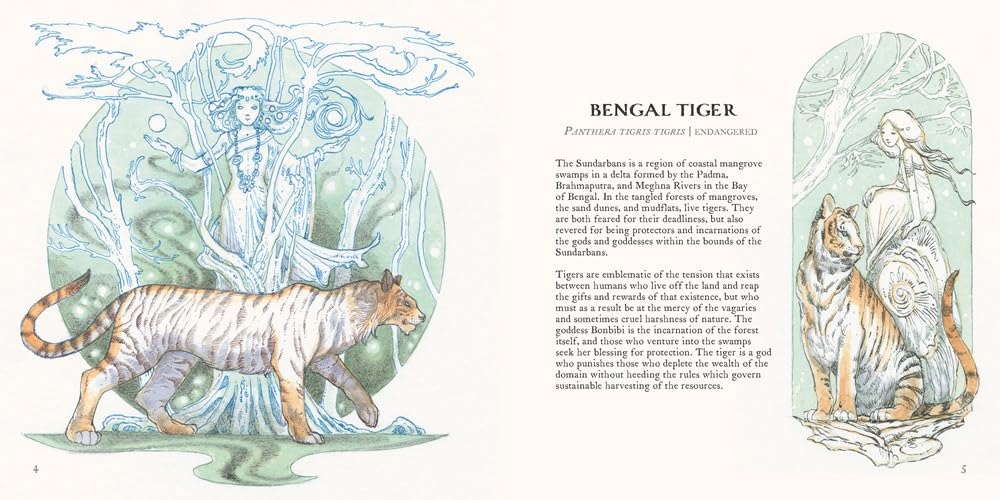 Undying Tales: Mythologies Of Creatures On The Verge Of Extinction by Law. Steph 9781738124602_1