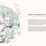 Undying Tales: Mythologies Of Creatures On The Verge Of Extinction by Law. Steph 9781738124602_3