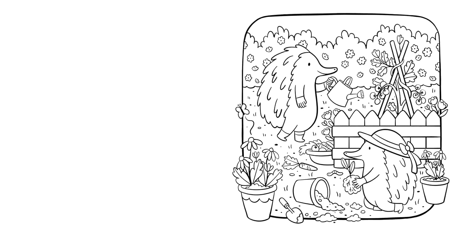 Aussie Cozy Homes Coloring Book by Mimimoo Illustration 20 9781761217630_5
