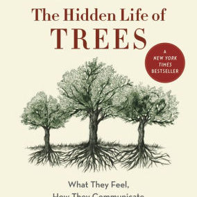 The Hidden Life Of Trees by Wohlleben. Peter 9781771642484_4fb19e8c-f931-471f-94e1-d9f0c2594b55