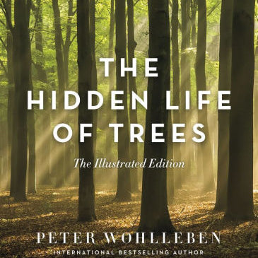 Hidden Life Of Trees: The Illustrated Edition. The by Wohlleben. Peter 9781771643481_07149e74-95c1-4f2b-94d6-52e9ef2dc739