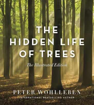 Hidden Life Of Trees: The Illustrated Edition. The by Wohlleben. Peter 9781771643481_07149e74-95c1-4f2b-94d6-52e9ef2dc739