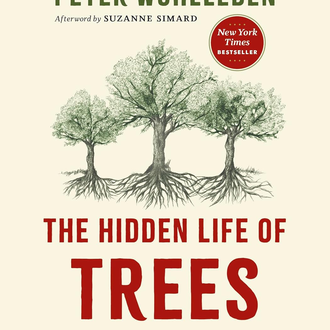 The Hidden Life of Trees by Wohlleben. Peter 20 9781771643771