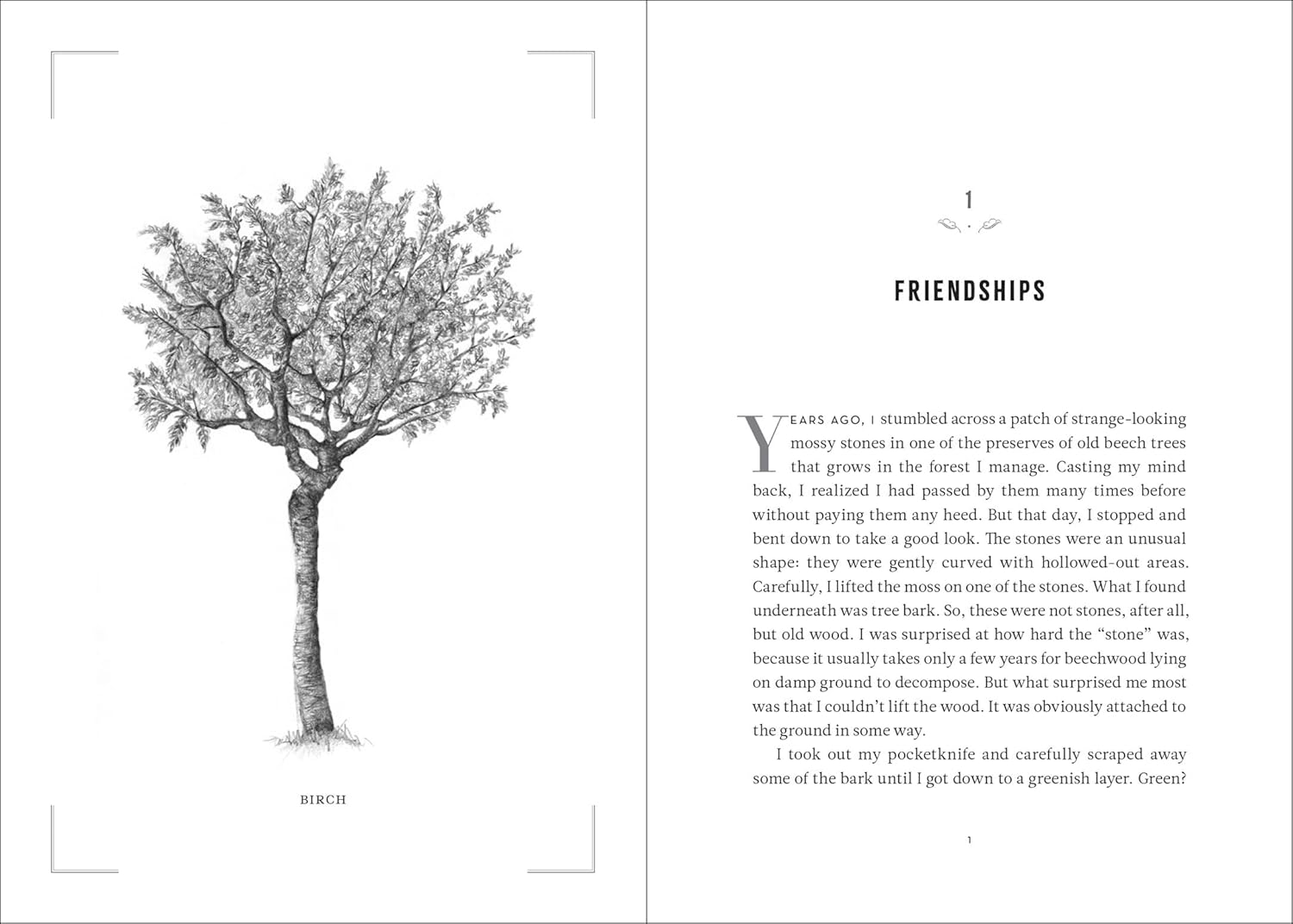 The Hidden Life of Trees by Wohlleben. Peter 20 9781771643771_2