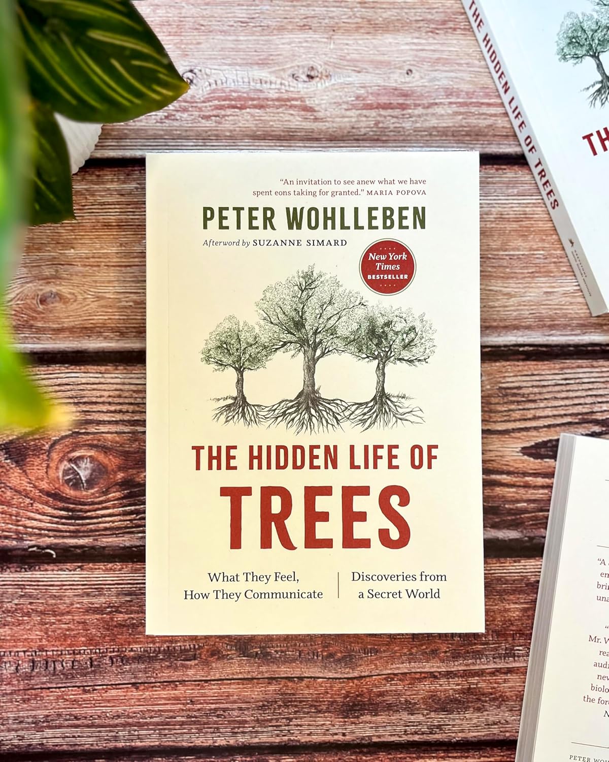 The Hidden Life of Trees by Wohlleben. Peter 20 9781771643771_6