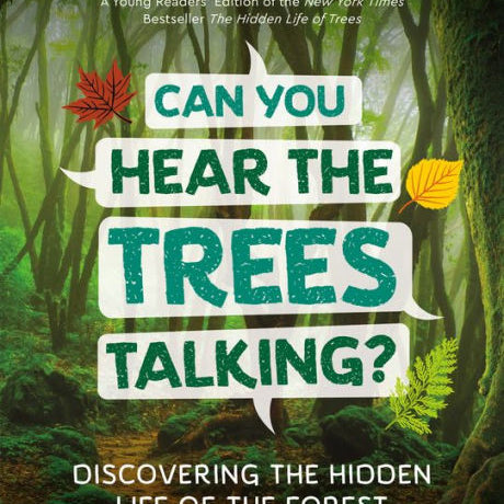 Can You Hear The Trees Talking?: Discovering The Hidden Life Of The Forest by Wo 9781771644341_f3eddc90-6d04-443c-9656-adbcdd6ccc78