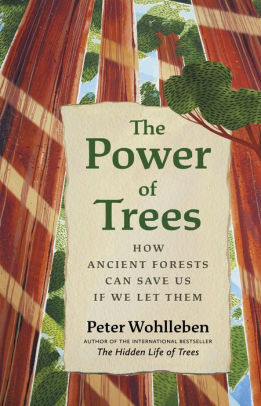 The Power Of Trees: How Ancient Forests Can Save Us If We Let Them by Wohlleben. 9781771647748