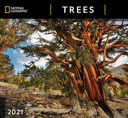 NATIONAL GEOGRAPHIC TREES CALENDAR 9781772184914_8fea1a34-ed05-4c96-89ed-033bfd10c949