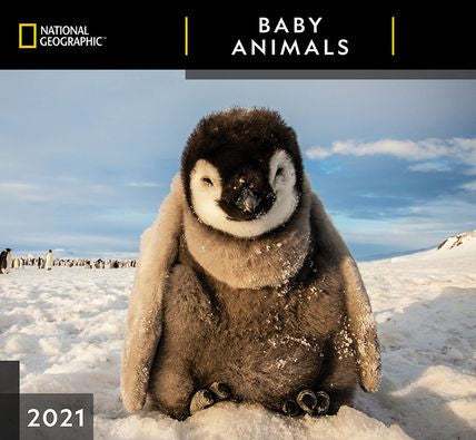 NATIONAL GEOGRAPHIC BABY ANIMALS CALENDAR 9781772184952