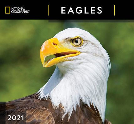 NATIONAL GEOGRAPHIC EAGLES CALENDAR 9781772184983