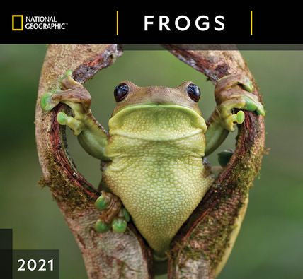 NATIONAL GEOGRAPHIC FROGS CALENDAR 9781772185010