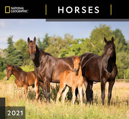 NATIONAL GEOGRAPHIC HORSES CALENDAR 9781772185034