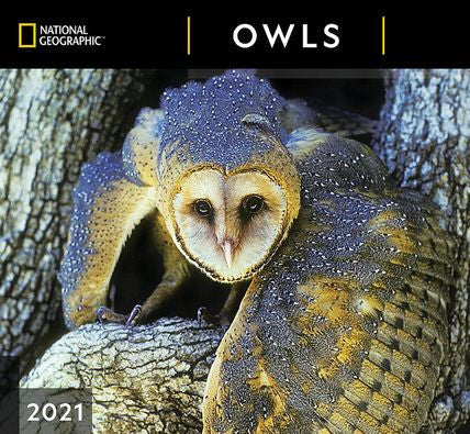 NATIONAL GEOGRAPHIC OWLS CALENDAR 9781772185041
