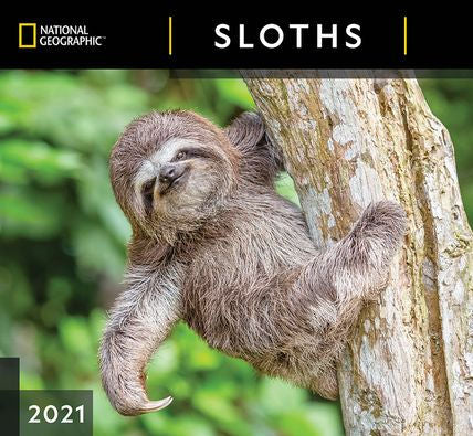 NATIONAL GEOGRAPHIC SLOTHS CALENDAR 9781772185096